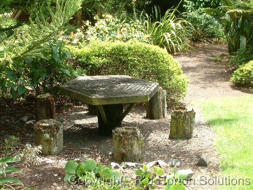 Rustic table and chairs 